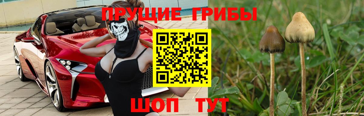Псилоцибиновые грибы MAGIC MUSHROOMS Ликино-Дулёво