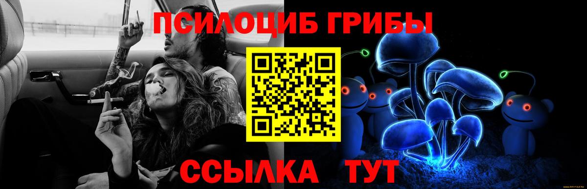 сколько стоит  Псилоцибиновые грибы Psilocybe  Вход с VPN  Ликино-Дулёво 
